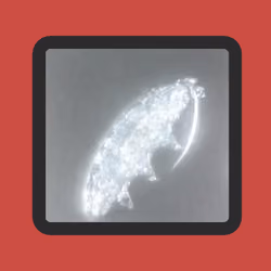 The Glowing Tardigrade