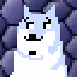 CryptoShibe #2080