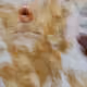 6953580024808712742906220267031265195446481600193527033543342968621561283560