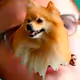 52763252838750097634301181637948172307593391931333794591762145827638428565505