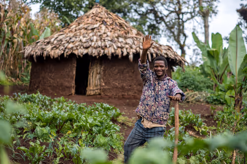 Item #50027882237522295676960542276708360859068113986169674979910834010858817847297 Media