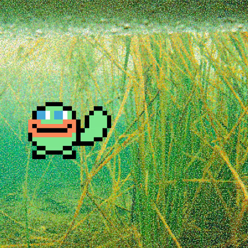 Item #36693953295479557701574373843446945539414677828106354980398784281574635470849 Media