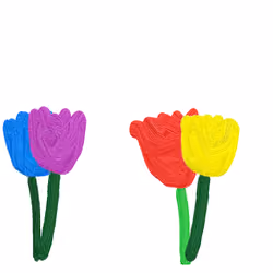 Tulips