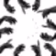 75337489964486720162025728583600064603286027733611774240812882897591909482497