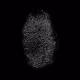 Fingerprints_digitale Collection