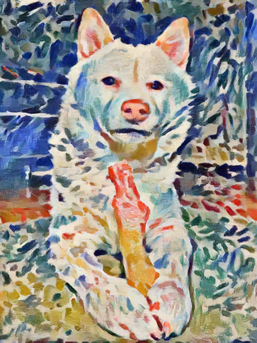 Item #48294251202362443440635964745477949159686229301689109113357186550045182263297 Media