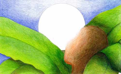 Item #113554310764116810828010040783141979509529322645538281523213892021806560182273 Media