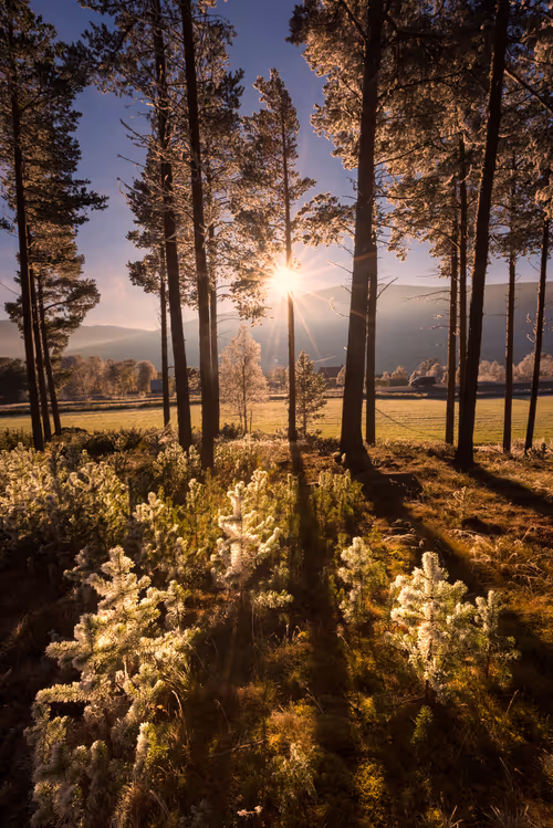 Item #58191911993214958366057876980746717260222726507823822186023823054953798172673 Media