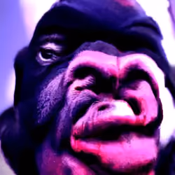 Guard Kong