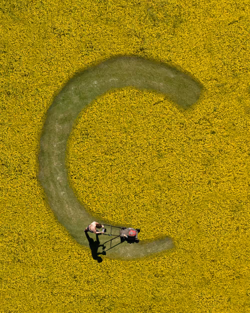 Item #100600280271040798317723628260513137156606623100883316454227271964939035607041 Media