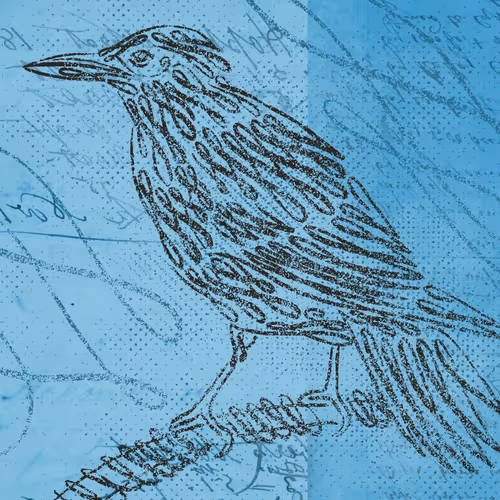 12520096913277121545232673772747947087596815365110293900319642931485277683713