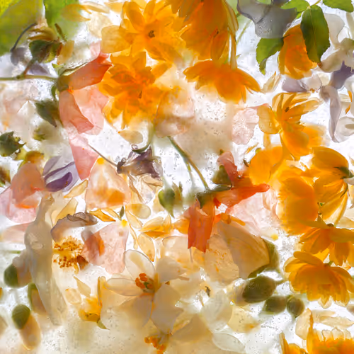 Item #80829721372825377784010953381890255518558028243098186913878117653097385820161 Media