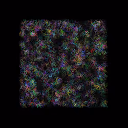 12032733712256437664215437925069129638151898554142308319368358880655752298497