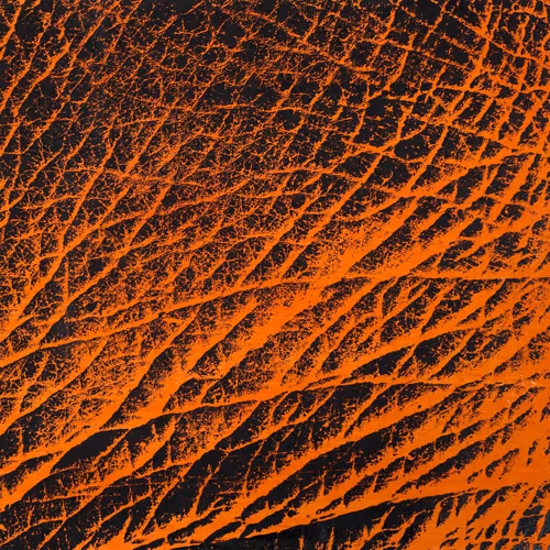 Orange Elephant Skin