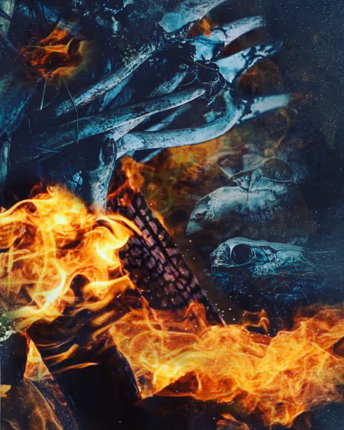 Item #28160785054541868716257591902316180345606641922973163858227144110406218285057 Media