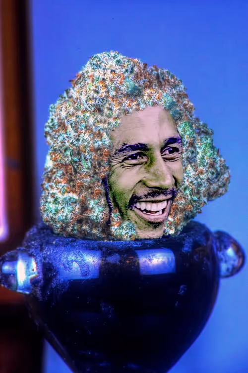 Item #31186953846776644916654461836537312819780745522330041199381679828303473541121 Media