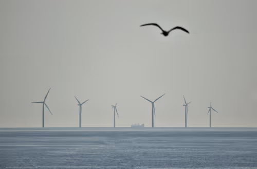 Item #14113791335687528049524506811384605239875640651691872103810466396616504901633 Media