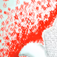 Krypto_Knight Collection