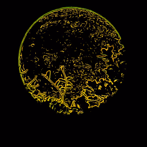 Moon and trees