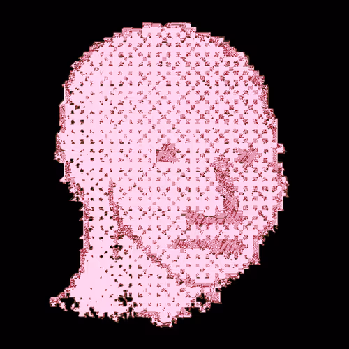 Npc Internet Pictures