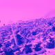 88757720568226029596562460439980572709159236811082638970353090346932041154561
