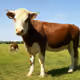 94304531463231144870854698813865165413181480579376100832335835242006721855489