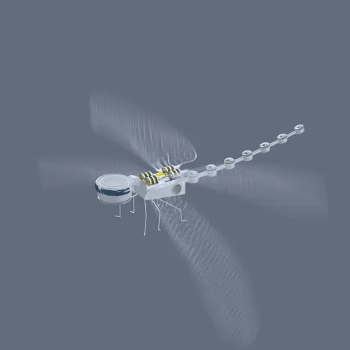 Item #59221695809999844932868241311026825972511777315967343673418626815638712090625 Media