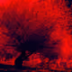 76858734999529594897718685931548284114428138755829741462648886610010751107073