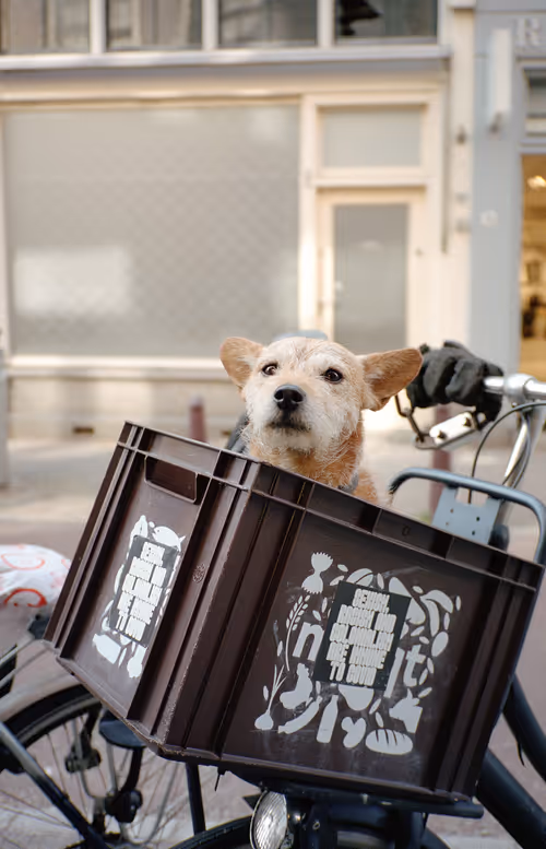 Item #64073144841343757614716512507723910140908511863865217898604629614911106842625 Media