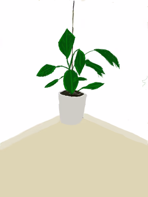 Item #15274526915334913485106348917668510336953863677084236601635243307674024017921 Media