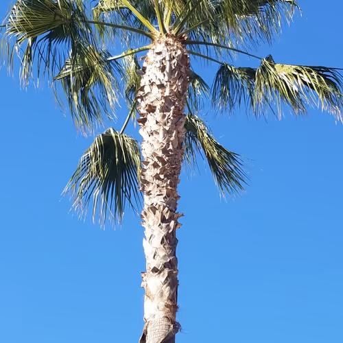 Untitled Collection #272836614