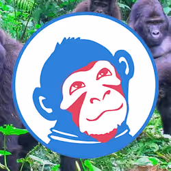 Crazy Monkey 11