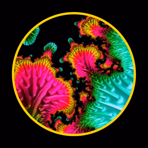 Item #19755943560703832549694930259889174281342606690861395808005518120162269593601 Media