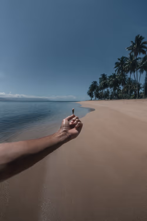 Item #78064220502355505726869985793984720926867023015257308531581829177993668329473 Media