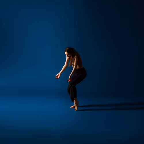 Tinydancercollection