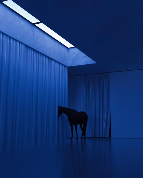 Item #23369975143873138697377485353468411413443616652002160298465161696921731989505 Media