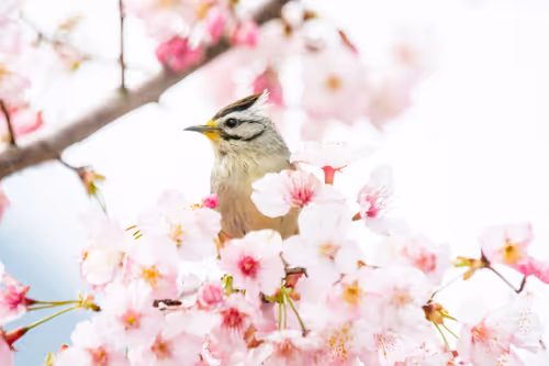 Item #15286439154353413258560728673590493507949724092509999987352070573704121155585 Media