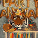 NewZooGuy Collection