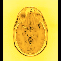 64162533542198579898252916190583583845604629893829087458582976394504366456833