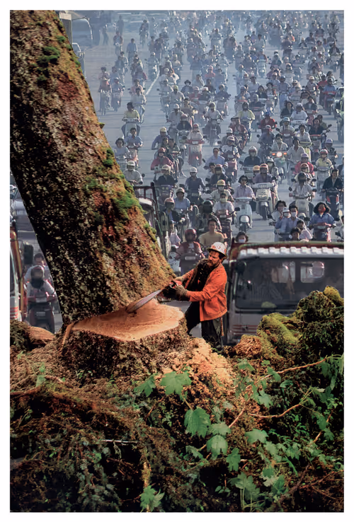 Item #54403465519986223114927810355137498436561943124200988837266329132584866414612 Media