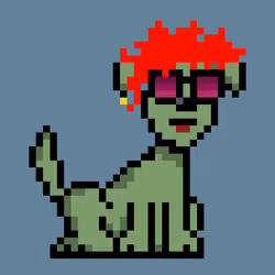 PunkDog #5234