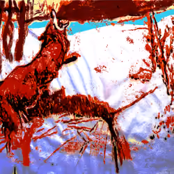 Red fox