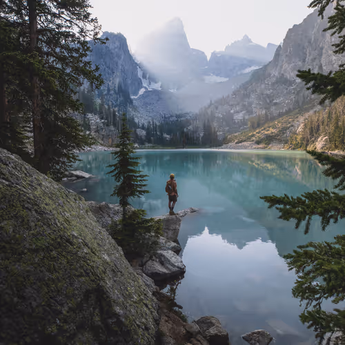 Vaughn Meadows - Just for the Moment