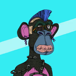 58908853164764665234215629469906415334070316588277770664231249499264022216705