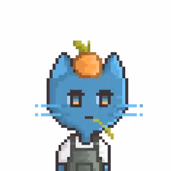 #021 Blue Cat and Fruit