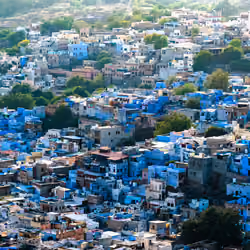 Blue Heaven, Jodhpur #2
