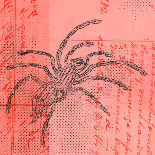 Item #12520096913277121545232673772747947087596815365110293900319642879808231178241 Media