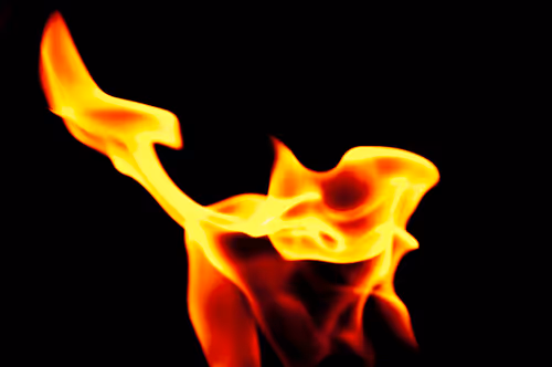 Item #92971587401879212914465603849674525645265351012255145539777938567421791043585 Media