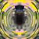 20423384659003977903349558850326682095078183991991729828791616613956680941569
