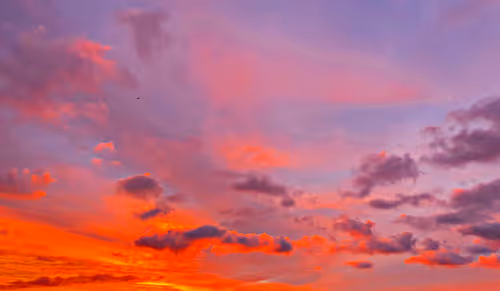 Item #26959269769888464134450214803543172762144144354552099945017378567218171740161 Media